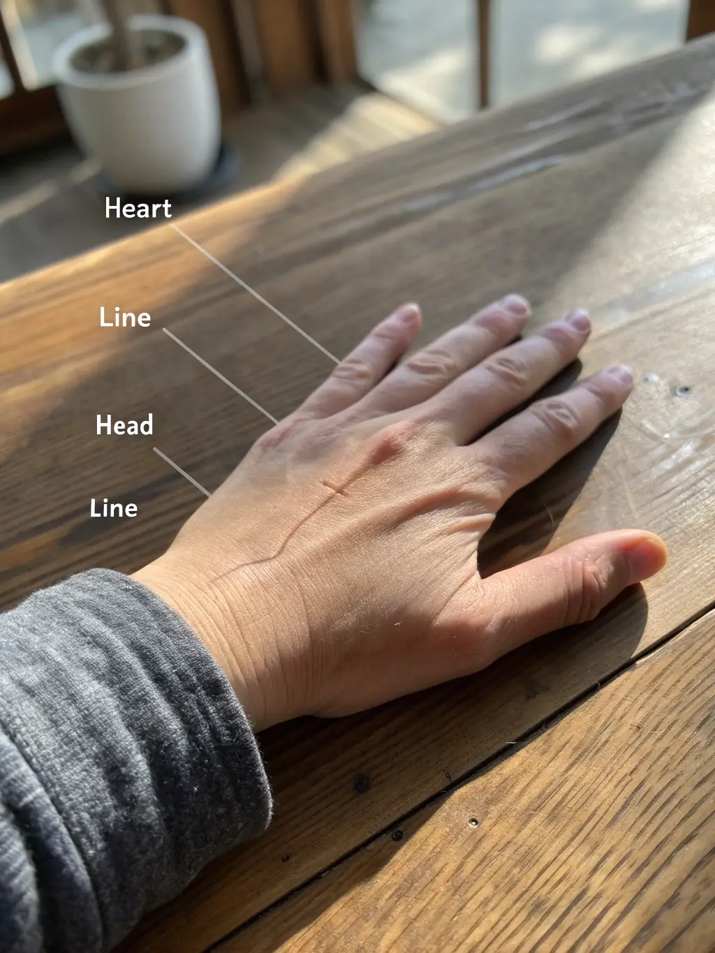A close-up photograph of a hand with clearly visible palm lines, highlighting the intricate details used in palmistry readings at Myungri Garden.